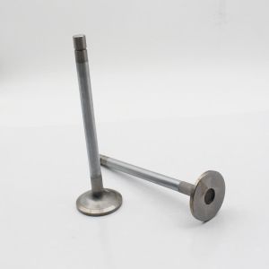 Isuzu 6RB1 Inlet Exhaust Diesel Engine Valve 1-12551129-0 1-12552028-0