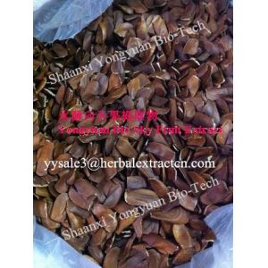 Sky fruit Extract, Fructus Swietenia Macrophylla Extract, reduce blood fat,