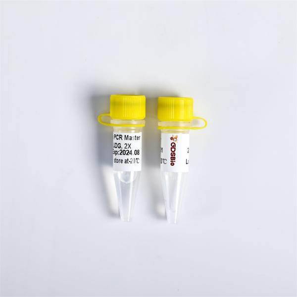 Pollution - Proof 2X Multiplex PCR Master Mix With UDG PM2001 PM2002 PM2003