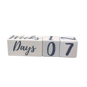 Square Reusable Wooden Milestone Blocks 12 Monthly Milestone Age Blocks