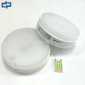 Colour Dimmable Robust Round Ceiling Lights IP65 Industrial Oyster Fixtures