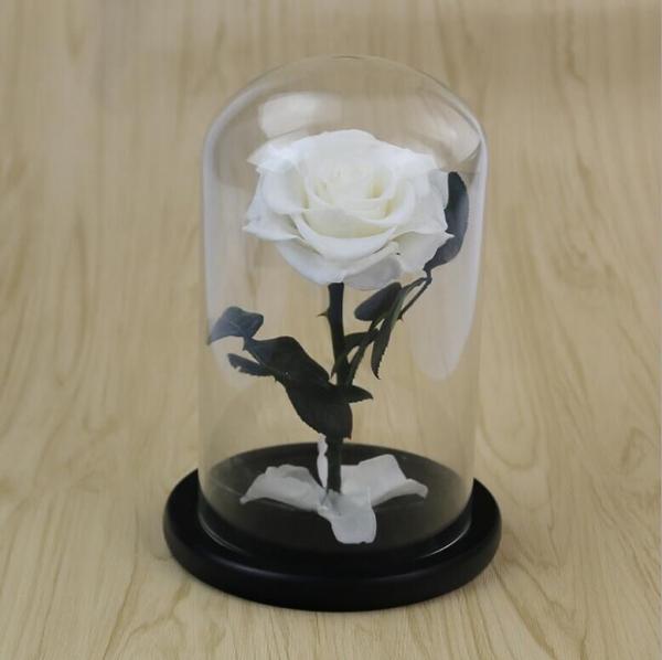 2020 Dried Eternal Roses Flowers Endless Preserved Roses Flower In Glass Valentine's Day Birthday Gift Wedding Party Dec