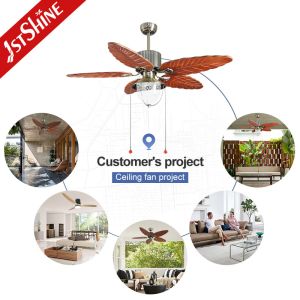 42 Inch Luxury Ceiling Fan Light with AC 220V/50Hz and Traditional Design by