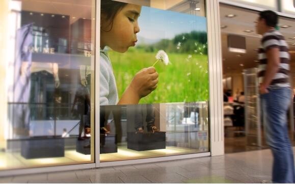 Quality Transmittance Advertising Rear Projection Film 100um For Daylight Display wholesale