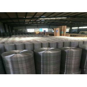 16mm X 16mm Hot Dipped Galvanized Welded Wire Mesh