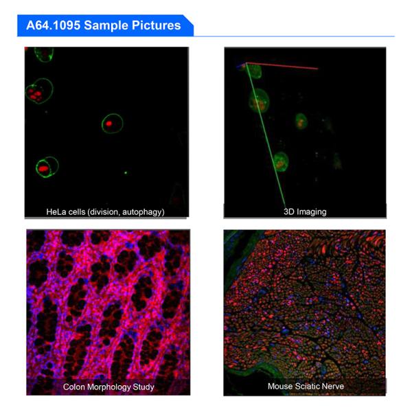 A64.1095 Opto Edu Laser Confocal Microscope Full Auto Motorized