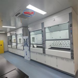 Customized Chemical Fume Hood Laboratory Fume Cupboard With Scrubber for Clean