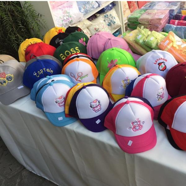 Wonyo Innovis ES5 Limited Edition Sewing Quilting & Embroidery Machine