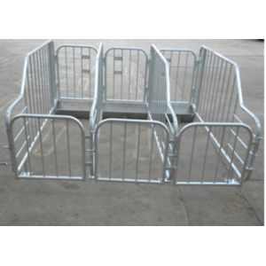 Hot Dip Galvanizing Hog Gestation Crates Customized Pif Farm Stall With