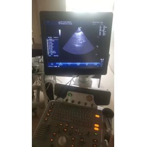GE original imaging ultrasound machine Logiq P6
