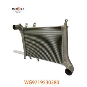 OEM WG9719530280 For Howo Intercooler Assembly WG9719530281
