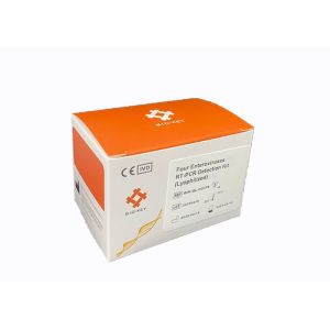 RT PCR Norovirus Detection Kit Lyophilized Rotavirus Test Fluorescence Probe