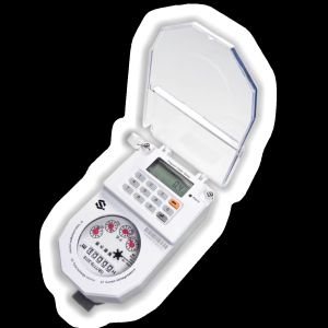 Customizable Smart Prepaid Water Meter with Dry Dial Integrated Keypad and