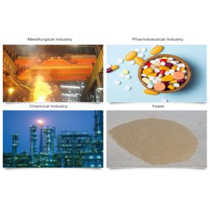 1.12m2-10.6M2 Single Drum Dryer