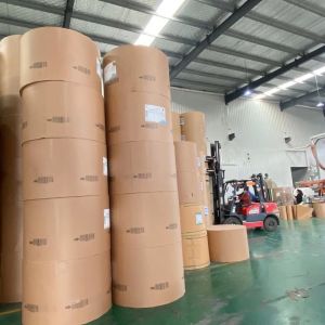 PE Coated Jumbo Roll Paper 1300mm