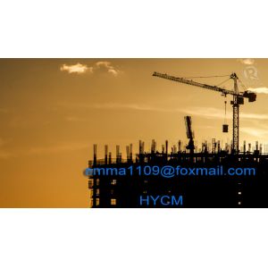 Special Cost Tower Crane 5t Load Capacity 50m Boom 1.3t Tip Load 30m Working