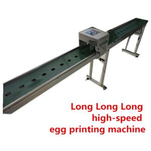 Cheap High Resolution Egg Continuous Inkjet Printer With Full - Disk Printing Method for sale
