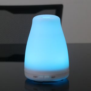 Electric Sprayer Plug In Aromatherapy Diffuser Essential Oil Air Diffuser