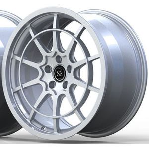 5x112 20x8 20x9 Custom Silver Forged Monoblock Rims For Mercedes-Benz E Class