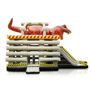 Customized Color Inflatable Water Slide Park Outdoor Dragon Slide for 5-10