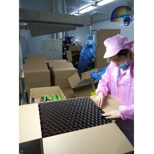 Mustard / Chocolate Squeeze Tubes Offset Printing Custom Logo FDA Certificatedv