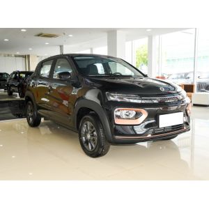 Discover the Ultimate Electric Suv with Dongfeng's EX1 Nano Box A 5-door 4-seat