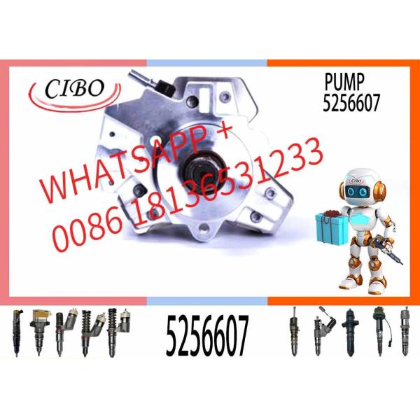 QSF3.8 QSB4.5 QSB6.7 Excavator Spare Parts Fuel Injection Pump 445020122 5256607