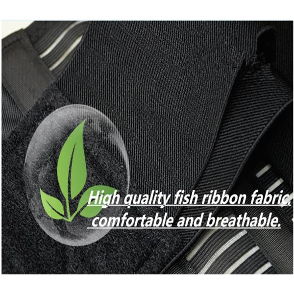 Men And Women Waist Back Support Belt With Double Elastic Orthodontic PP Strips