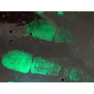 C057 Green fluorescent small particle reagent