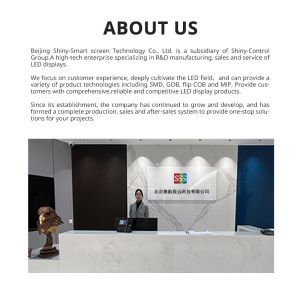 P2.5-P10 LED Display Module IP54 Waterproof 5000nits XR Stage Stadium Rental Led