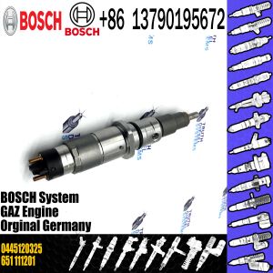 Diesel Injector 0445120325 0445 120 325 0 445 120 325 For Common Rail Injector