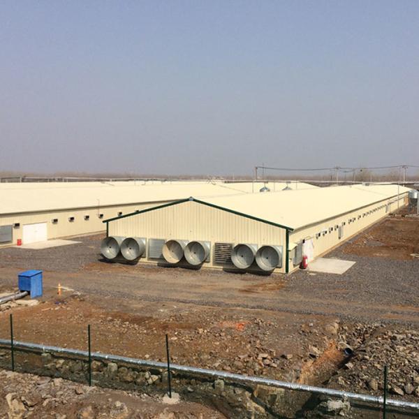 Quality Automatic Chicken Layers Steel Structure Poultry House OEM wholesale