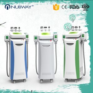China Professional  cryolipolysis fat freezing weight loss machine  cryolipolysis slimming machine on sale