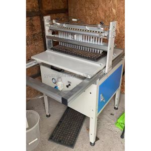 300 Trays per Hour Capacity Green Garden Cabbage Onion Garlic Seeding Planting