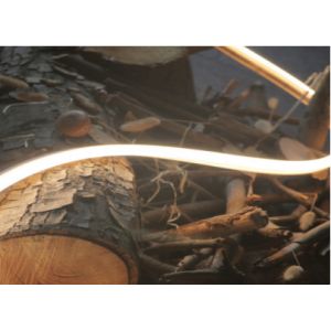 China Warm White 3000K Silicone Neon Strip DC24V IP68 LED Strip on sale