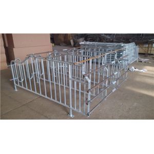 New Design Pig Gestation Crates Sow Farm Equipment Easy To Feed And Manage