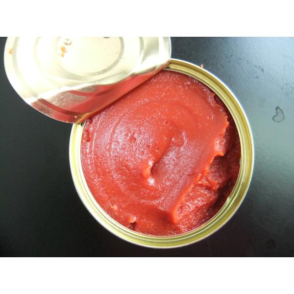 Quality Steamed Processing Canned Tomato Paste Fruit Addtives for Processing wholesale