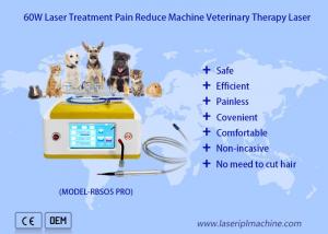 Cheap 980nm Diode Veterinary Laser Therapy For Pets Wound Healing for sale