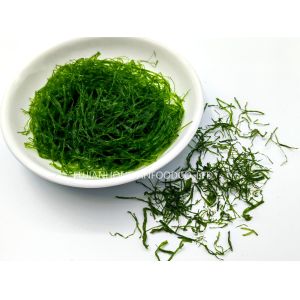 Crunchy Enteromorpha Prolifera Strips Vibrant Green 180g Pack Perfect Salad