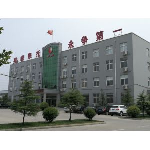 2t Load Open 70km/H Cargo 250cc Petrol Tricycle