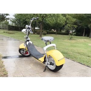 China EcoRider 1000W 60V 10ah Big solid tire Two Wheel Electric Motorcycle Scooter Citycoco With front lamp and speedmeter on sale