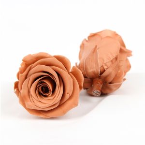 Eco Friendly Diameter 5-6cm No Pollen Real Eternal Roses