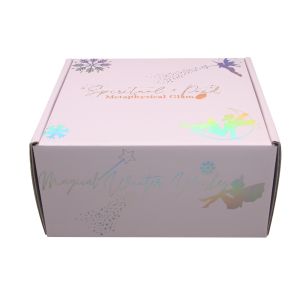 Custom Logo E Flute Holographic Corrugated Clothing Shipping Mailer Box For