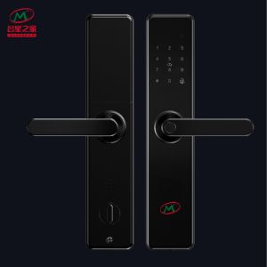Cheap Home fingerprint lock_home door lock_home lock_home smart lock for sale