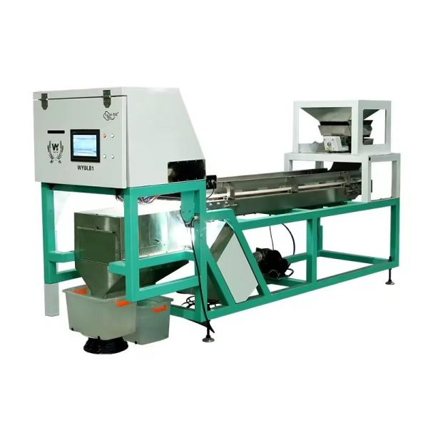 Color Sorter Machine For Peeled Garlic Garlic Processing Plant Chain Driven