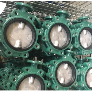 China GG20 cast iron DIN standard butterfly valve