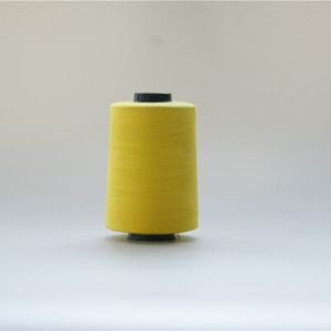 High Temperature Resistance Meta Aramid Embroidery Thread 40/2