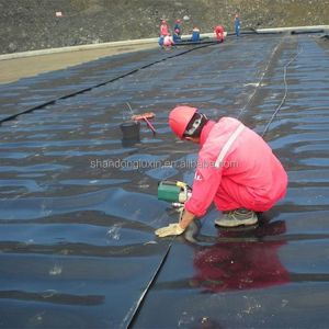 Double Texture HDPE Geomembrane Versatile Solution for Dam Liner and Fish Pond