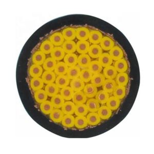 Flexible Multi Core Copper Conductor Shielded Control Cable Double PVC Sheathed