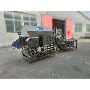 3000 kg/h Onion Skin Peeler for Root Vegetables and Stainless Steel 304 in